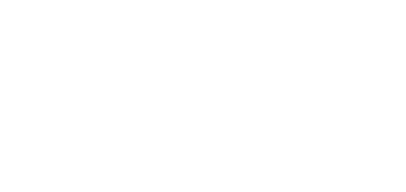 Mercurius Survey